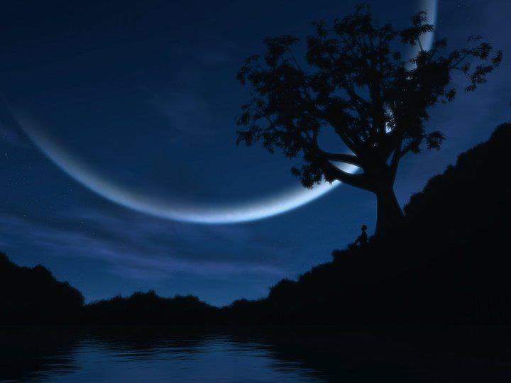 New Moon Update June 6, 2024!