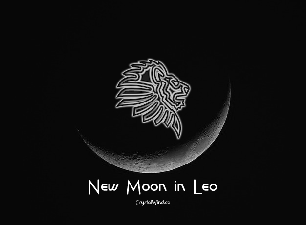 August 2024 New Moon Magic In Leo Part 1