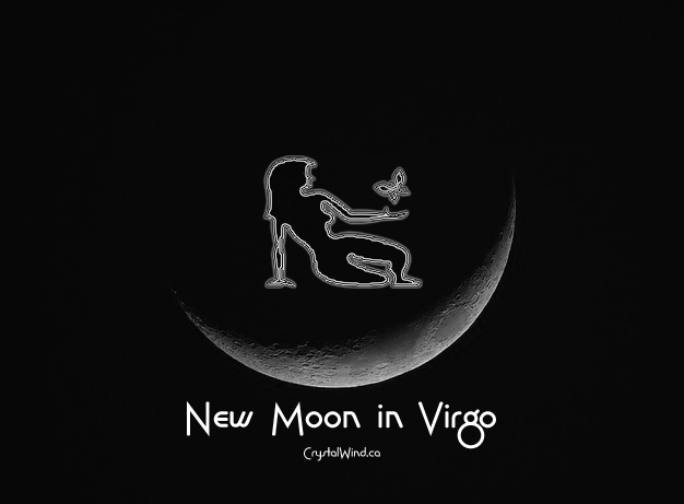 The September 2024 New Moon At 12 Virgo Pt. 1