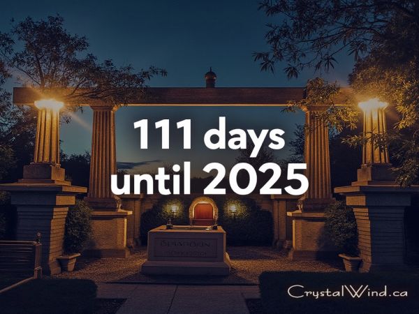 Only 111 Days Remaining In 2024 Make Them Count!