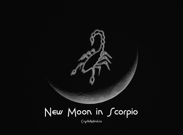 The November 2024 New Moon At 10 Scorpio Pt. 1