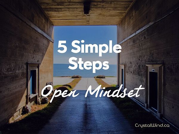 5 Simple Steps For An Open Mindset