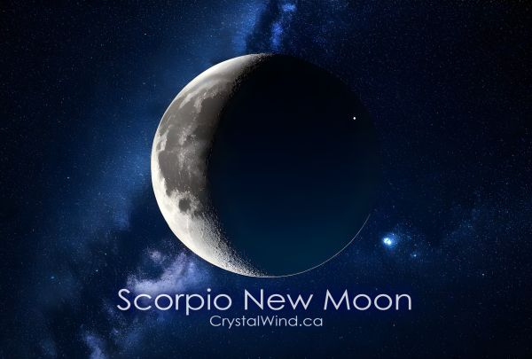 Scorpio New Moon Sparks Transformation And Renewal