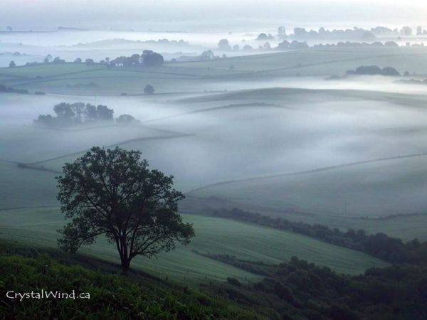 Mist Of New Beginnings